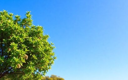 Achieving Essential 8 Maturity: A Comprehensive Guide for Australian Businesses in 2025
